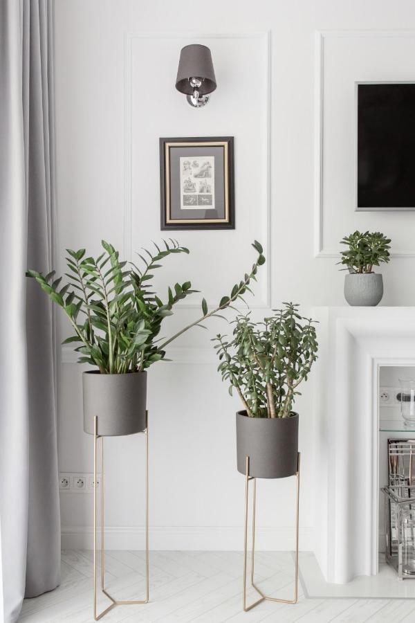 Luksusowy Apartament Hercena7 W Sercu Miasta Wroclaw Ngoại thất bức ảnh